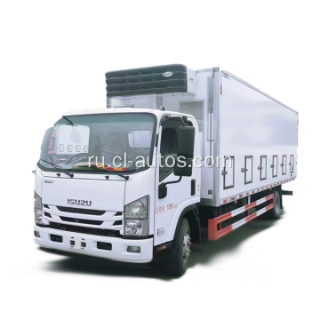 Isuzu baby chick one day chick transport transport transp